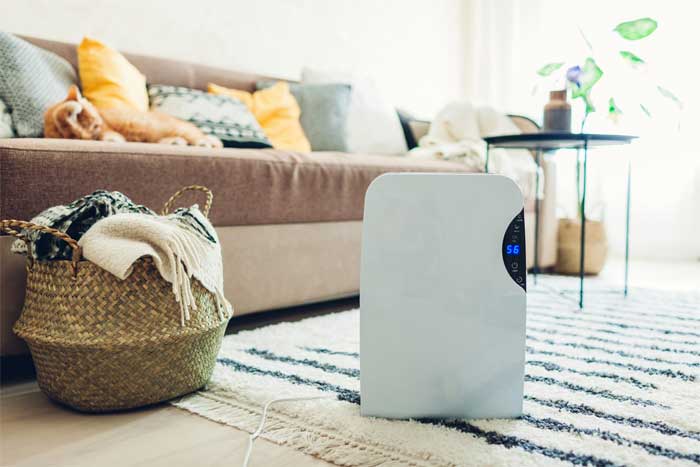 When to use Humidifier and Dehumidifier
