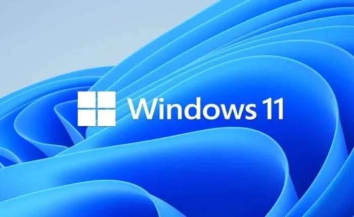 Windows 11 Activation Key: Survival Guide for Beginners